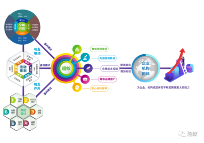 超蚁传媒--让企业快速成为知名品牌!